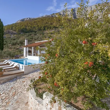 Villa Santa Domenica With Swimming Pool *